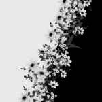 定位花