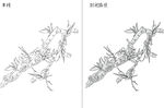 花 矢量图