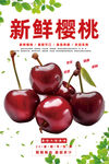 樱桃