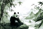熊猫绘本插图插画
