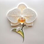 室内唯美蝴蝶兰