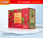 火龙果包装 水果礼盒
