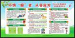 世界癫痫日宣传栏