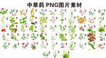 中草药 