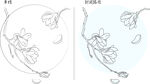 玉兰花 矢量图
