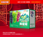 葡萄包装 巨峰礼盒