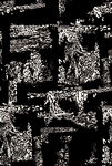 豹纹