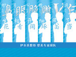 专家团队