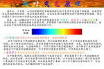 秋天叶子变色原理