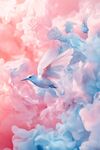 云雀幻影