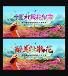 杜鹃花