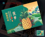 菠萝包装