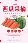 西瓜