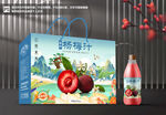 杨梅汁包装