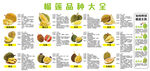 榴莲简介
