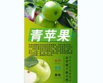 青苹果背景墙