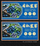 蓝莓