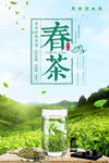 春茶