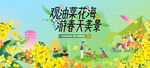 油菜花之旅主画面