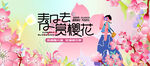 春游踏青赏樱花活动主画面