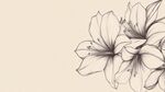 手绘花卉线条插画