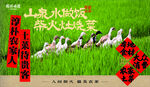 土菜海报