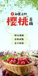 樱桃