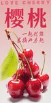 樱桃
