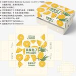 菠萝包装 凤梨礼盒
