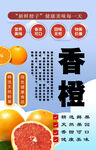 香橙背景墙