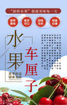 车厘子背景墙