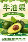 牛油果
