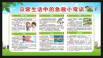 急救日宣传栏
