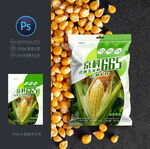 玉米种子