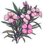 手绘粉色花卉植物插画