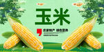 玉米