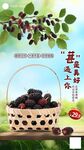 桑葚海报