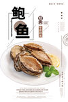 鲍鱼