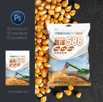 玉米种子