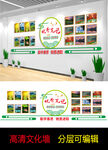 企业文化墙展示 照片墙