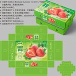 草莓包装 水果盒子