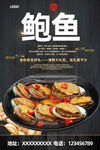 鲍鱼