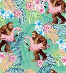 猩猩与火烈鸟的奇幻丛林