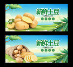 土豆