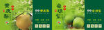 呈贡黄梨 宝珠梨