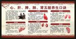 中医养生知识宣传栏