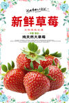 草莓