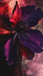 梦幻紫红花韵