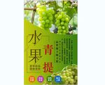 青提背景墙