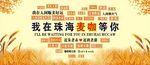 我在珠海等你来